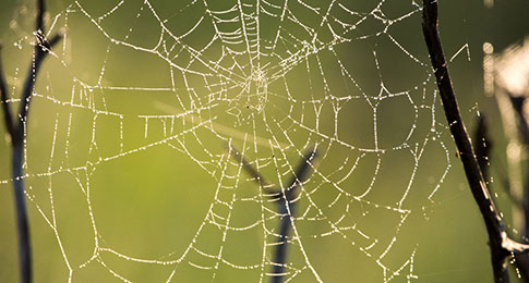 .NET 5 Breaking Changes for ASP.NET Core